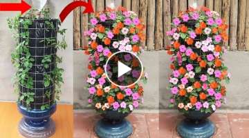 Creative Jade Flower Garden Ideas - How To Grow Beautiful Jade Flowers For The Garden