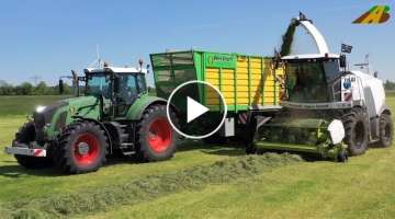 Chop & silage grass harvest 2021 - grass silage for dairy cows modern agriculture german farmers