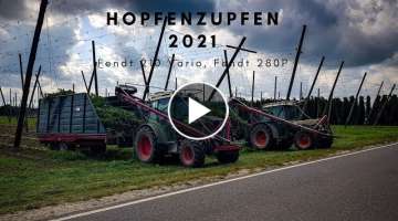 HD hop plucking with two Fendt tractors